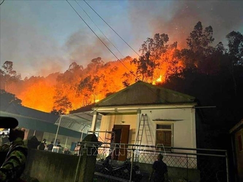 Công an mời 4 người liên quan lên làm việc trong vụ cháy rừng tại Nghệ An